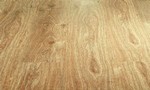 parkover 181 rovere di francia